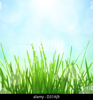 Molla di natura astratta sfondo con effetto sole e bokeh di fondo. Erba verde con il blu del cielo Foto Stock