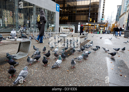 Stormi di piccioni sulla strada fuori città di Vancouver stazione centrale su Granville Street BC Canada Foto Stock