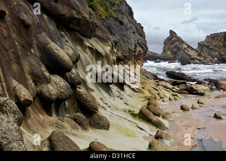 O00959-00...OREGON - noduli di roccia più dura in arenaria di erosione lungo la spiaggia di Simpson a Riva acri del parco statale. Foto Stock