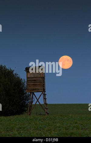 Piedistallo rialzato per la caccia di capriolo in campo di notte con la luna piena Foto Stock