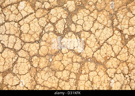 Deserto di sabbia la texture dello sfondo. Terra asciutta suolo closeup Foto Stock