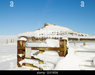 Roseberry topping in inverno. North Yorkshire, Inghilterra, Regno Unito Foto Stock