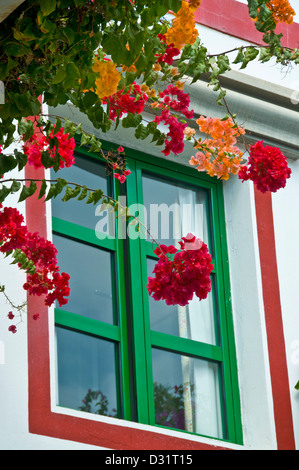 Il Bougainvillea con un lussuoso appartamento di vacanza finestra nella marina resort di Puerto de Mogan Gran Canaria Isole Canarie Spagna Foto Stock