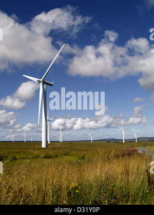 Un scozzese per centrali eoliche su una giornata d'estate. Causeymire, Caithness Foto Stock