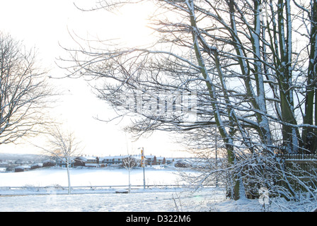 Una coperta di neve albero in inverno contro un paesaggio e il cielo dello sfondo con ogni ramoscello fittamente ricoperta di brina molto pittoresco Foto Stock