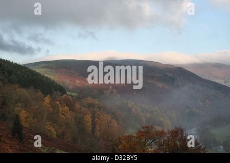In autunno gli alberi e la nebbia in montagna Llantysillio Llangollen Foto Stock