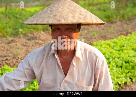 Lao farmer indossando cappello conico nel suo campo Luang Prabang Laos Foto Stock