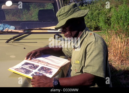 Kenneth Manyangadze, capo scout, registrare libro di cacciatori di frodo, salvare Valley Wildlife Conservancy, Mahenye, Manicaland Province, Zimbabwe, Africa Foto Stock