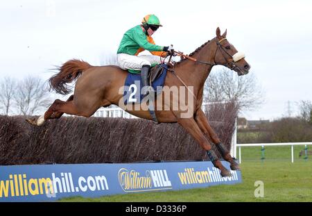 Huntingdon Race Course. Cambridgeshire. 7 febbraio 2013. Vincitore ROUGE ET BLANC cavalcato da Thomas Garner salta l'ultimo. Gara 2. Felice sessantesimo compleanno Sandra Charteress Handicap Chase. Chatteris Fen Racing giorno.. Credito: Sport In immagini / Alamy Live News Foto Stock