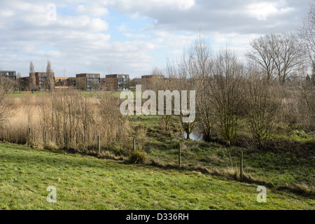 Bacino di ritenzione - canale sotterraneo di struttura di ritorno della piattaforma di visualizzazione. Fiume alluvione Quaggy alleviamento dello schema, Sutcliffe Park, London, Regno Unito. Foto Stock