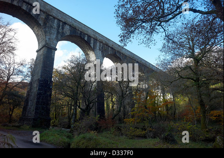 Treffry viadotto sul fiume Parr passando attraverso il bosco in Valle Luxulyan Cornwall Inghilterra Foto Stock