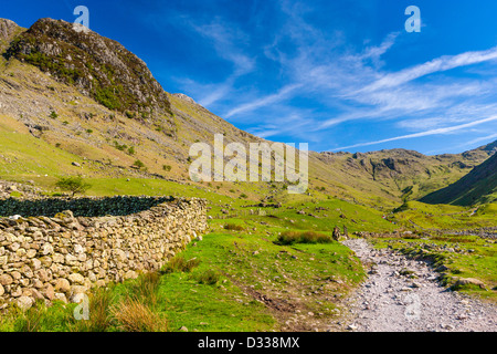 Muro di pietra, vicino a Seathwaite, Parco Nazionale del Distretto dei Laghi, Cumbria, Inghilterra. Europa Foto Stock