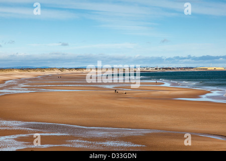 Dog walker sulla spiaggia sabbiosa a Seaton Sluice Northumberland, Regno Unito. Le turbine eoliche presso il porto di Blyth nella distanza Foto Stock