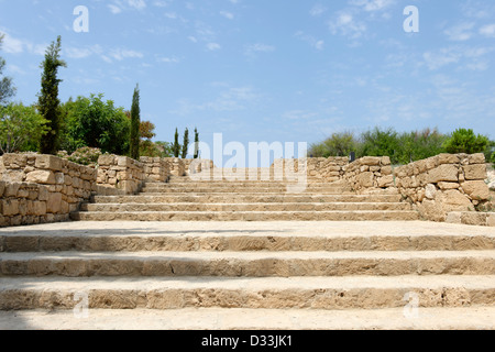 Questa immagine è stata catturata al vasto antico parco archeologico a Paphos (Kato Pafos), Cipro. Foto Stock