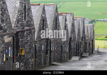 I magazzini di un whisky scozzese distilleria. Foto Stock