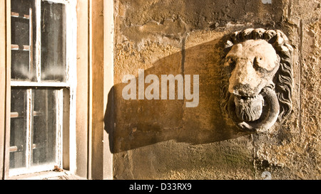 Pietra scolpita testa leone Elizabethan Wollaton Hall di Nottingham Nottinghamshire East Midlands England Europa Foto Stock