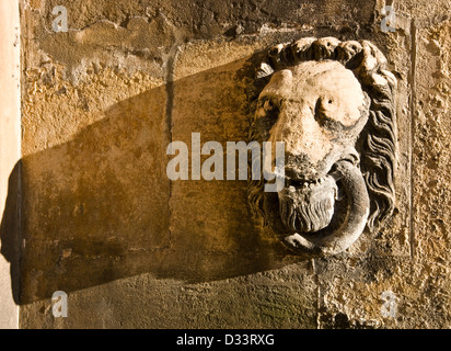 Pietra scolpita testa leone grado 1 elencati Elizabethan Wollaton Hall di Nottingham Nottinghamshire East Midlands England Europa Foto Stock