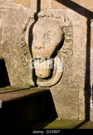 Leone di pietra di intaglio della testa Elizabethan Wollaton Hall di Nottingham Nottinghamshire East Midlands England Europa Foto Stock