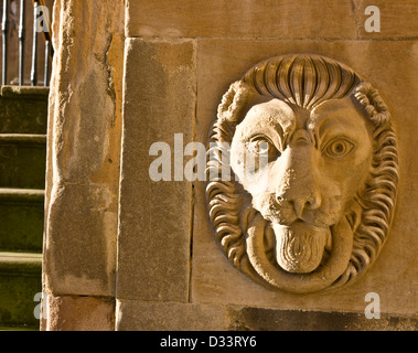 Pietra scolpita testa leone Elizabethan Wollaton Hall di Nottingham Nottinghamshire East Midlands England Europa Foto Stock