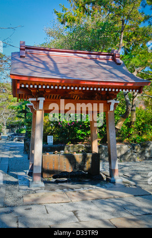 Kamakura Tsurugaoka Hachimangu Santuario Foto Stock