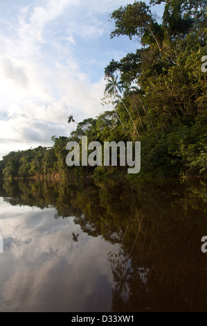 Rio Galvez si snoda attraverso una fitta foresta pluviale, regione di Loreto, Perù Foto Stock