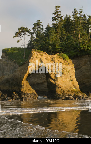 Arco Naturale, Tunnel Isola, Pacific Coast, Quinault Indian Reservation, Penisola Olimpica, Washington Foto Stock