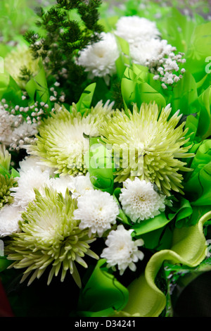 Bouquet da verde e bianco crisantemi Foto Stock