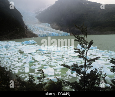 Il Cile, Regione Magallanes, Seno Ultima Esperanza, ultima speranza suono, il ghiacciaio Serrano invia iceberg in una laguna Foto Stock