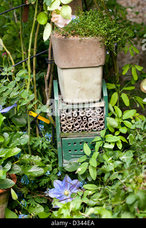 Il giardino comprende disposizioni di piante in vaso e casa per gli insetti. Foto Stock