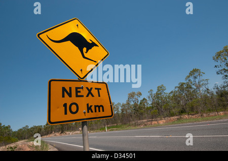 Canguro segno di avvertimento in Australia Foto Stock