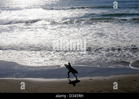 Surfista maschio corre lungo Ocean Beach per la cattura di un'onda, adiacente al Golden Gate Park, in una calda giornata di sole, San Francisco, Stati Uniti d'America Foto Stock