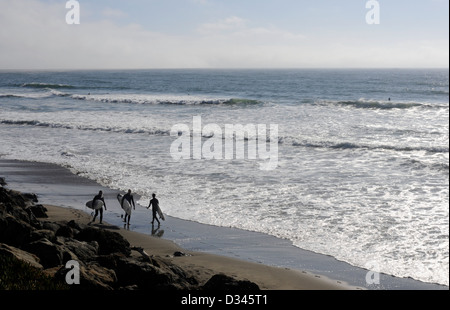 Tre surfers passeggiare lungo Ocean Beach, adiacente al Golden Gate Park, in una calda giornata di sole, San Francisco, Stati Uniti d'America Foto Stock