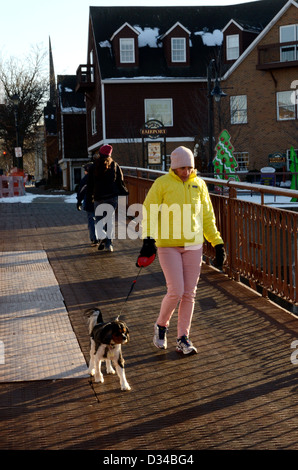 Donna cane a piedi attraverso Canale Erie Bridge. Foto Stock