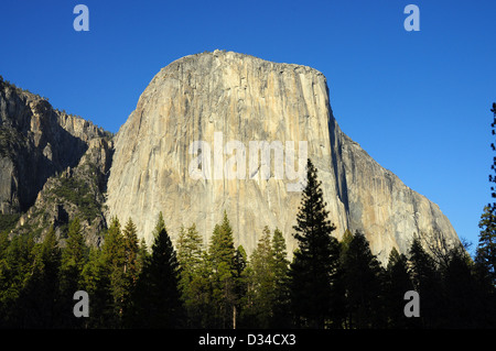 El Capitan - Parco Nazionale di Yosemite Foto Stock