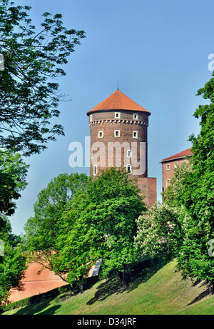 Torre Sandomierska presso il castello di Wawel a Cracovia, Polonia Foto Stock