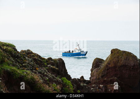 Dale Princess traghetti passeggeri a Skokhom Isola, Pembrokeshire, South Wales, Regno Unito Foto Stock