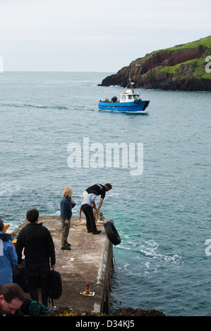 Dale Princess traghetti passeggeri a Skokhom Isola, Pembrokeshire, South Wales, Regno Unito Foto Stock