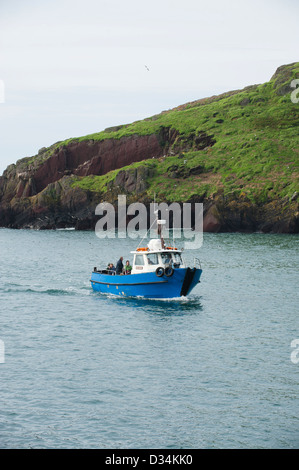 Dale Princess traghetti passeggeri a Skokhom Isola, Pembrokeshire, South Wales, Regno Unito Foto Stock