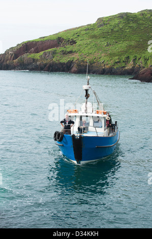 Dale Princess traghetti passeggeri a Skokhom Isola, Pembrokeshire, South Wales, Regno Unito Foto Stock