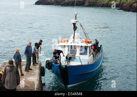 Dale Princess traghetti passeggeri a Skokhom Isola, Pembrokeshire, South Wales, Regno Unito Foto Stock