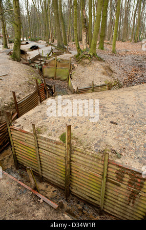 La guerra mondiale un sistema di scavo presso un santuario legno nei pressi di Ypres in Belgio. Foto Stock