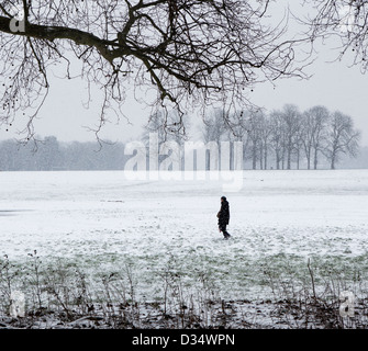 Persona passeggiate nella neve in presenza di neve Old Deer Park in inverno, Richmond Upon Thames, Greater London, Surrey, Regno Unito Foto Stock