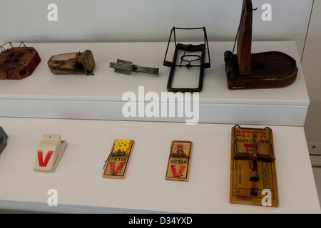 Varie mousetrap designs Foto Stock