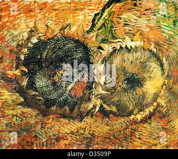 Vincent van Gogh, Still Life con due campi di girasoli. 1887. Post-Impressionism. Olio su tela. Kunstmuseum Bern, Svizzera. Foto Stock