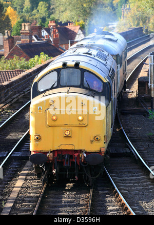 Conservate i diesel Classe 37 No.37906 e Classe 31 No.31601 a Bewdley, Severn Valley Railway, Worcestershire, Inghilterra, europeo Foto Stock