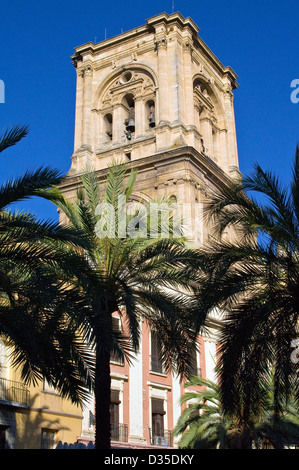 La torre della cattedrale della incarnazione in Granada, Andalusia, Spagna Foto Stock