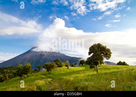 Vulcano Tungurahua eruzione, sunrise, Ecuador Foto Stock