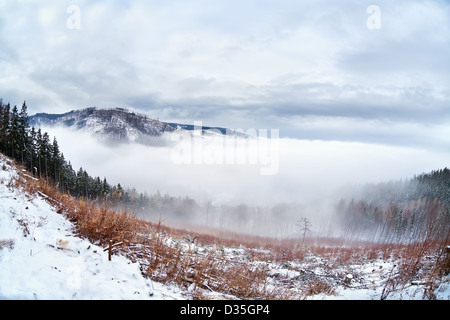 Nebbia fitta in montagne Harz durante il periodo invernale Foto Stock