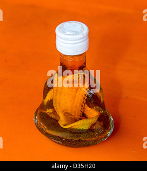 Il vino di riso in plastica con il modello di serpente cobra venduto come un souvenir. La cosa reale è venduto a 'cura' la tosse e per la virilità. Foto Stock