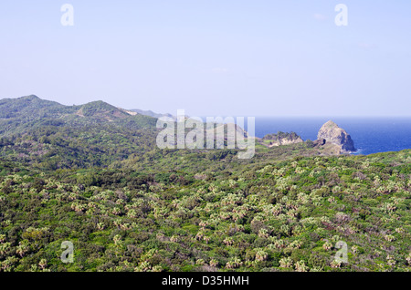 Vista da Mt. Chibusa a nord verso la zona Sekimon, Hahajima, Isole Ogasawara, Giappone Foto Stock